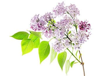 《超级机器人大战30》新预告10月25日发布 大量售前新情报